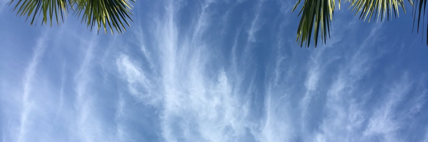 Gaelle Loinger-B_ip banner