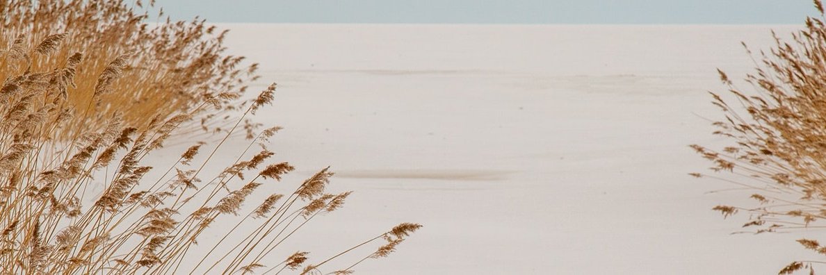 Krill banner
