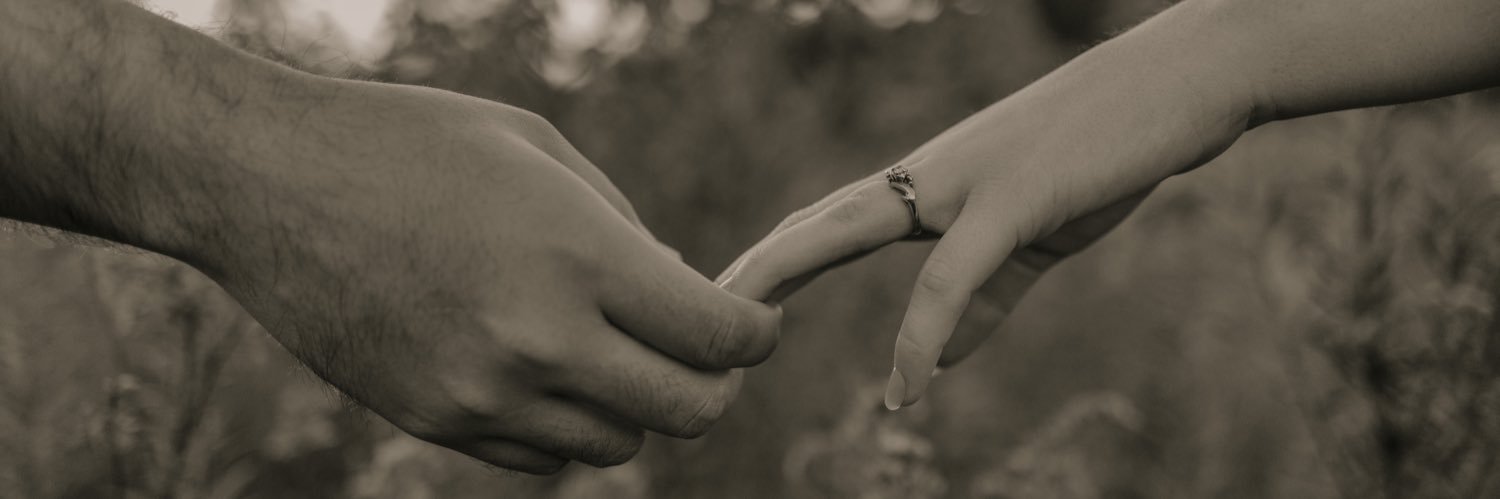 abbey ✨🌈🪩 banner