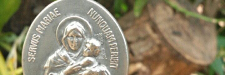 _AlbaGuzman_'s profile banner image