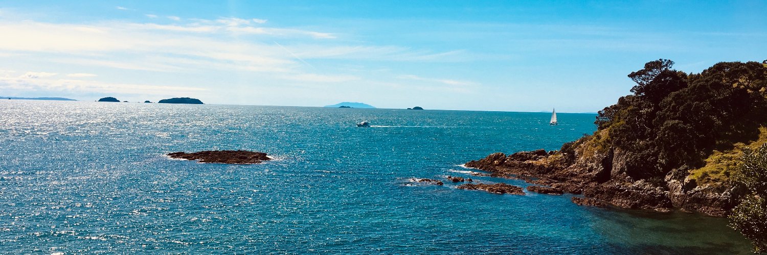 Michael Wells banner