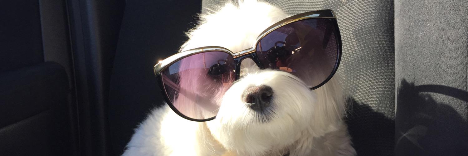 Kiabbyy's profile banner image