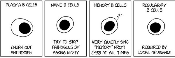 hannahkfrank Profile Banner