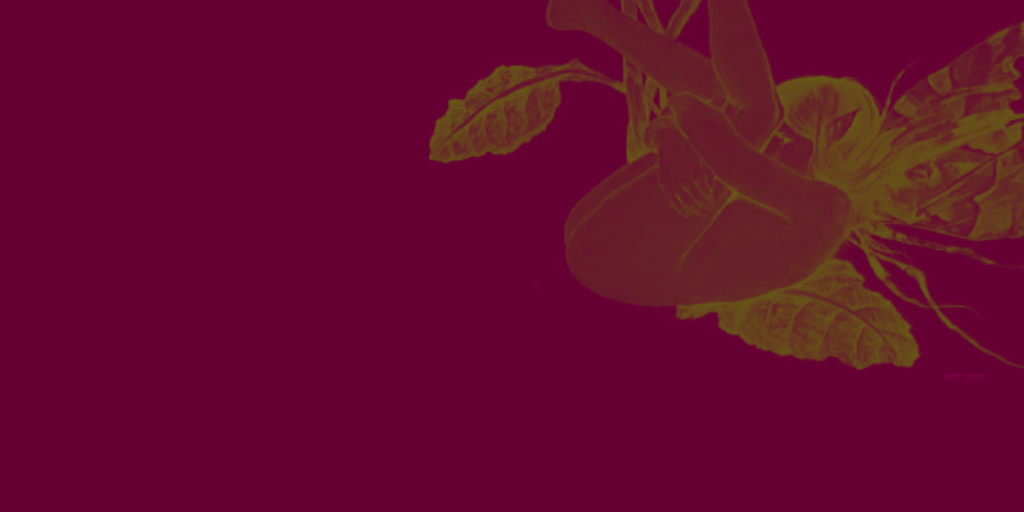 InaiBV's profile banner image