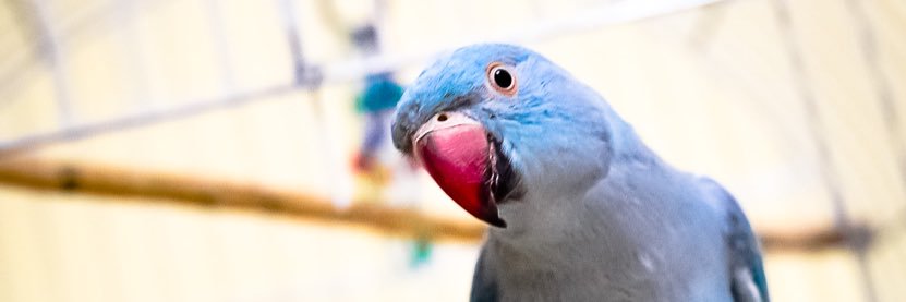 brunarenata's profile banner image