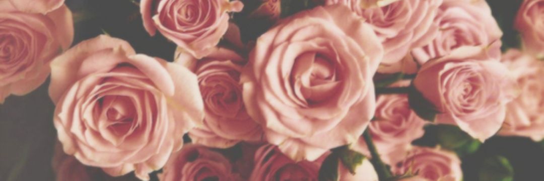 KayBrunnworth's profile banner image