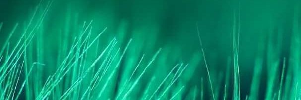 faxcon7's profile banner image