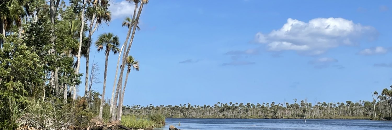 wardpl's profile banner image