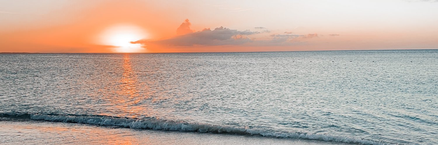 hannahaltizer12's profile banner image