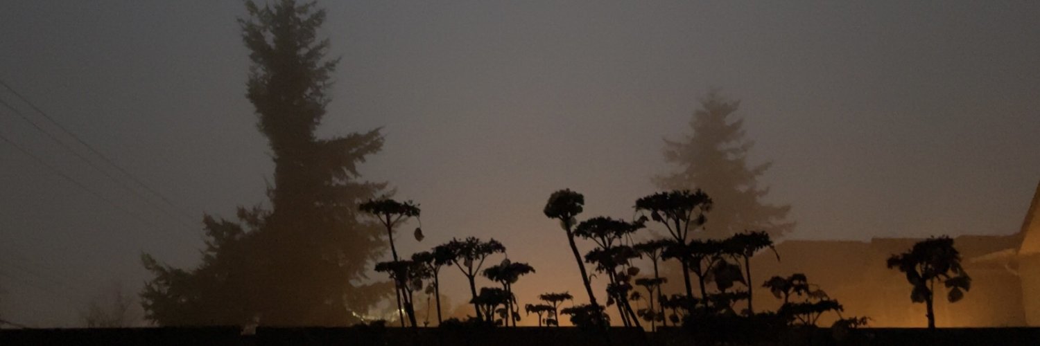 forestnympho_'s profile banner image
