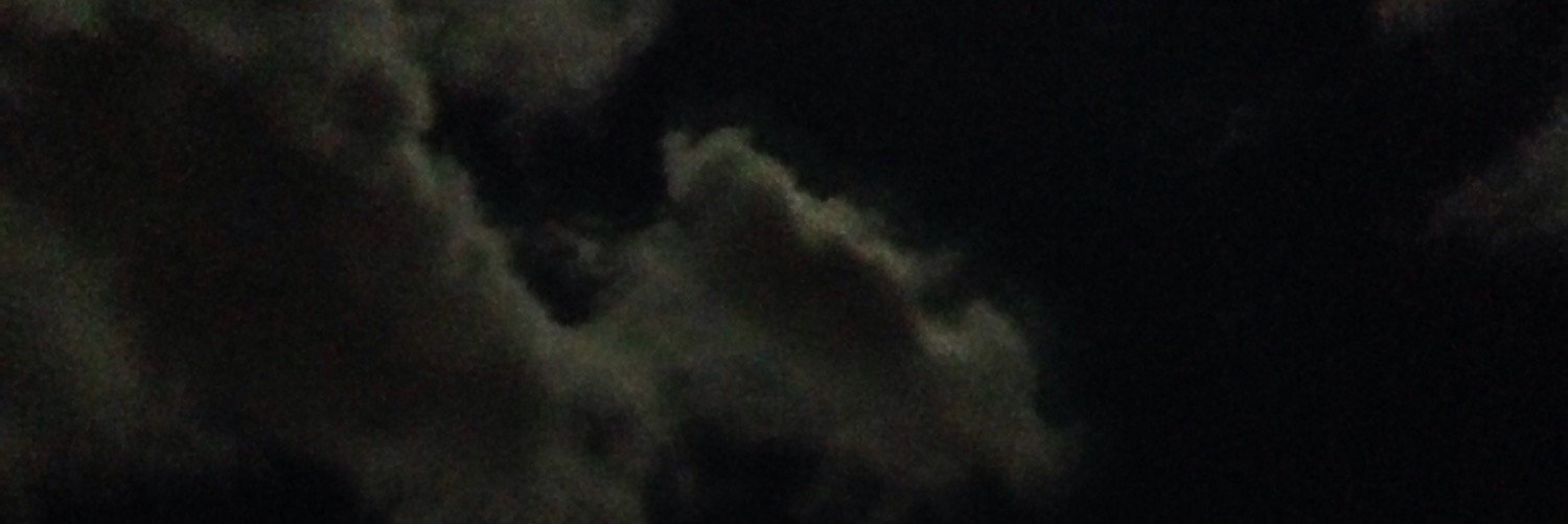 Dan Miller banner