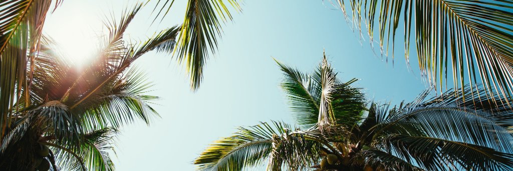 puravidavball's profile banner image