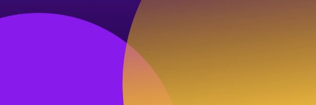 Fatima Akchar banner