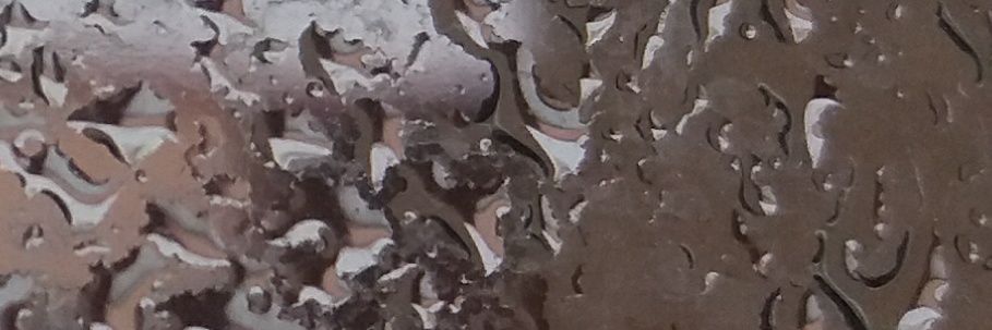 SoniaAlejo1's profile banner image