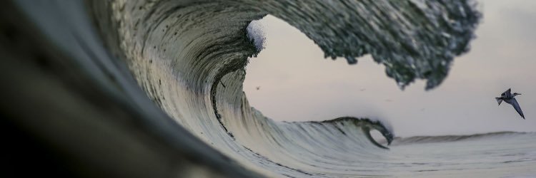 TheRealSanchez2's profile banner image