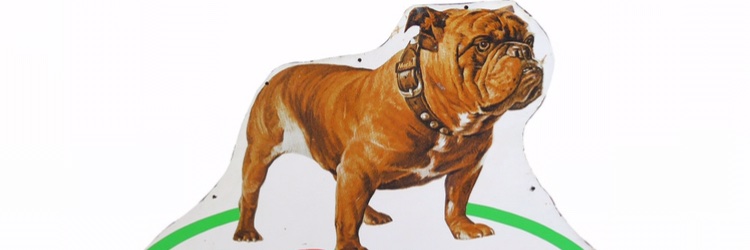 Scott P. Sheister banner