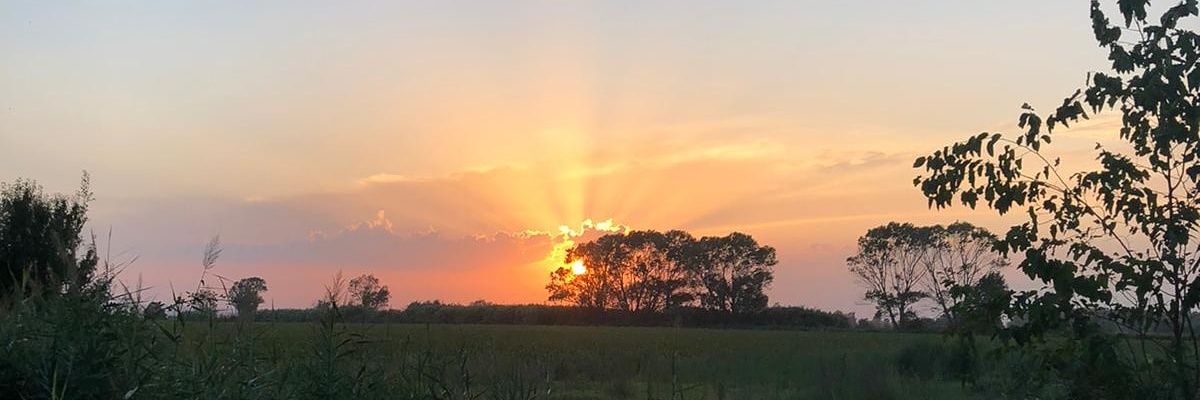 marinasoler116's profile banner image