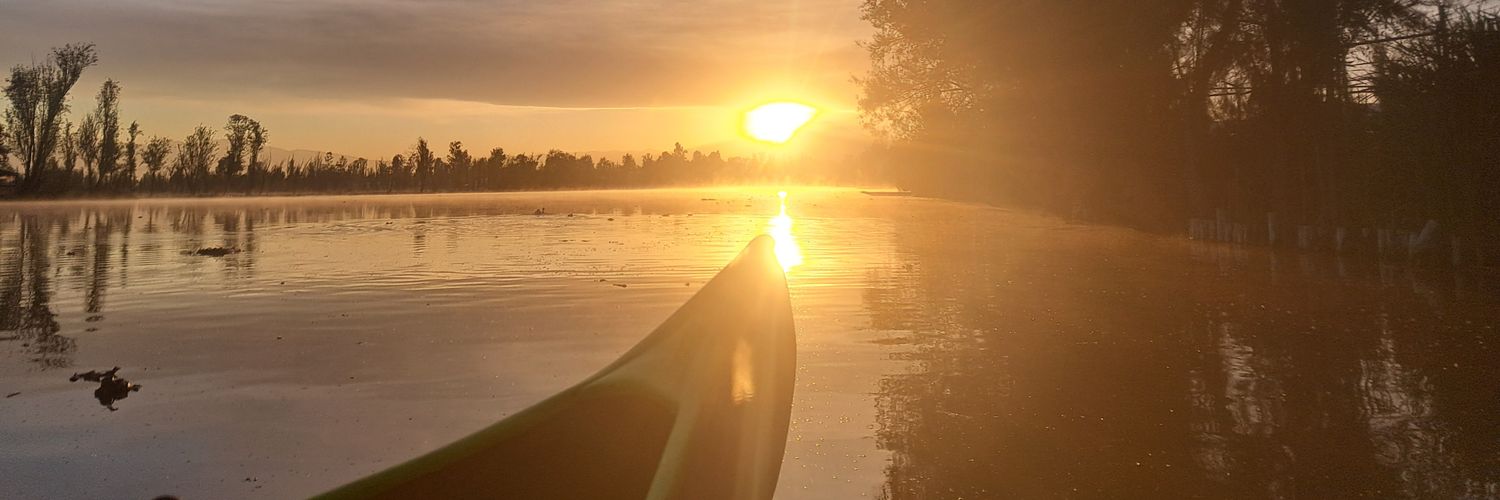 Evariste 🇲🇽 banner
