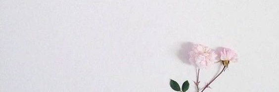 Chadelle's profile banner image