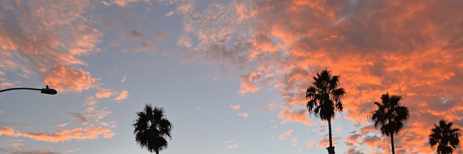 skyree33's profile banner image