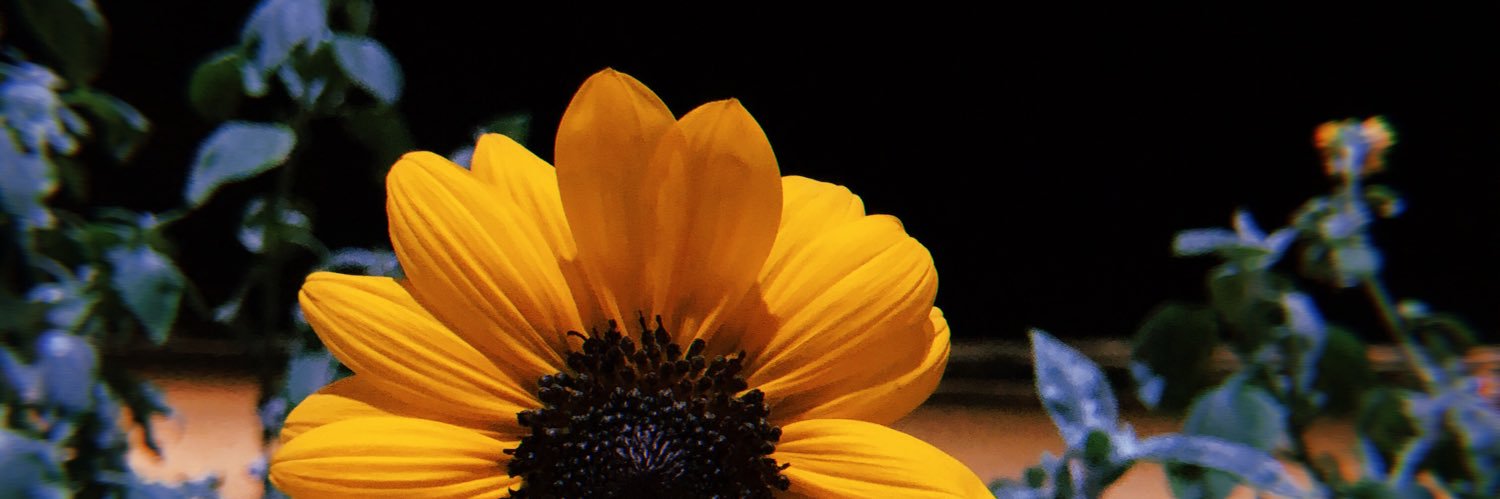 Leei_94's profile banner image