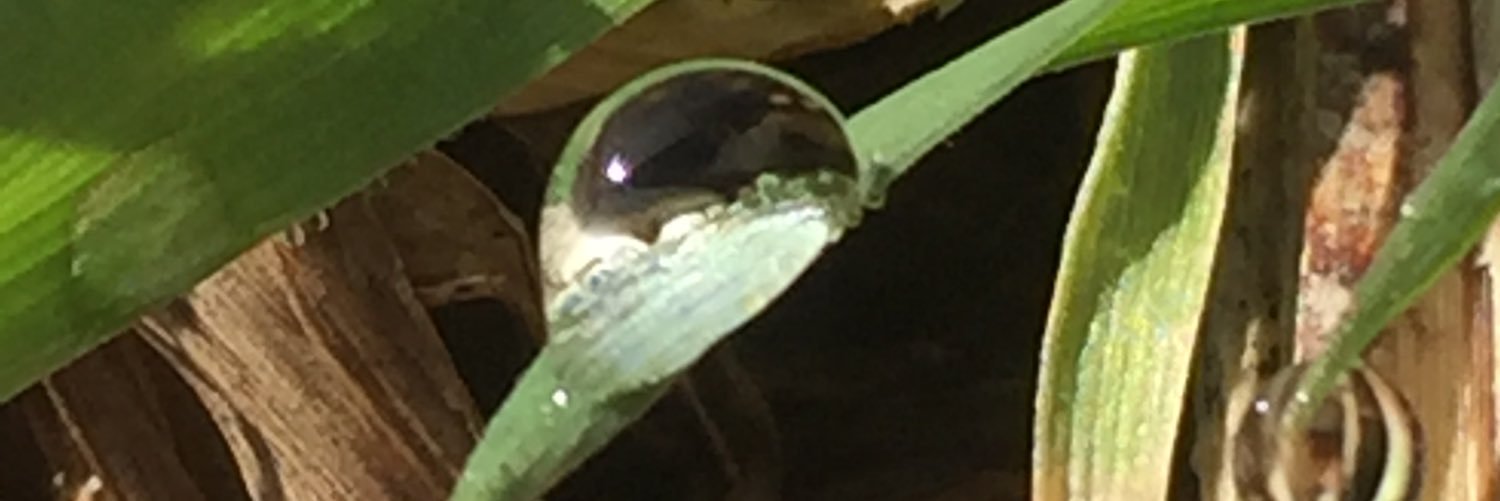 ray_guy1's profile banner image