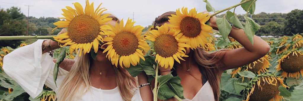 TorTray's profile banner image