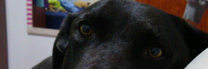 Cannnnnde's profile banner image