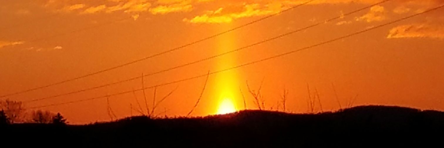 PSUHeidi's profile banner image