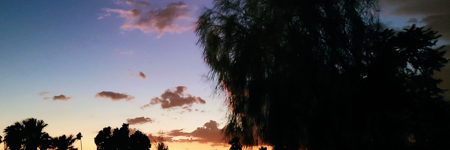 Hey_ItsLo's profile banner image