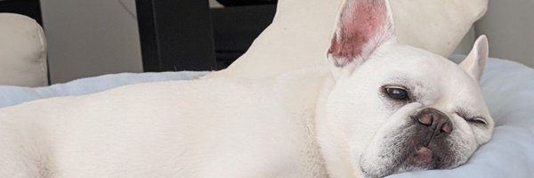 metameta151511 Profile Banner
