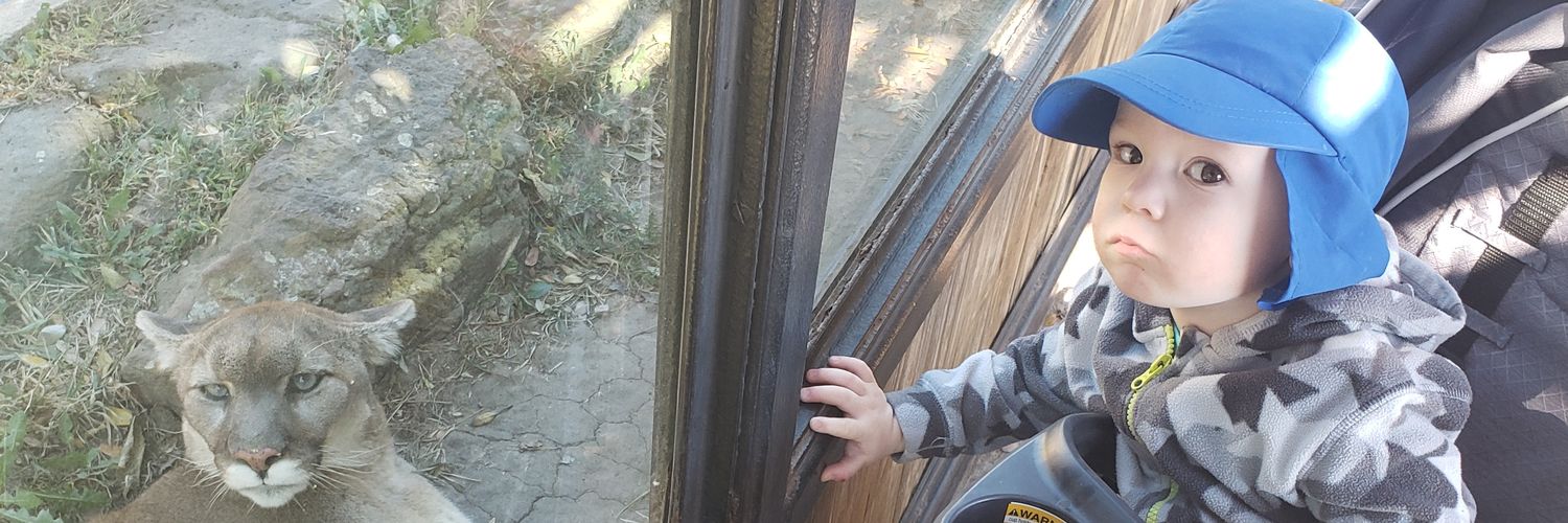 TheTrillMrD's profile banner image