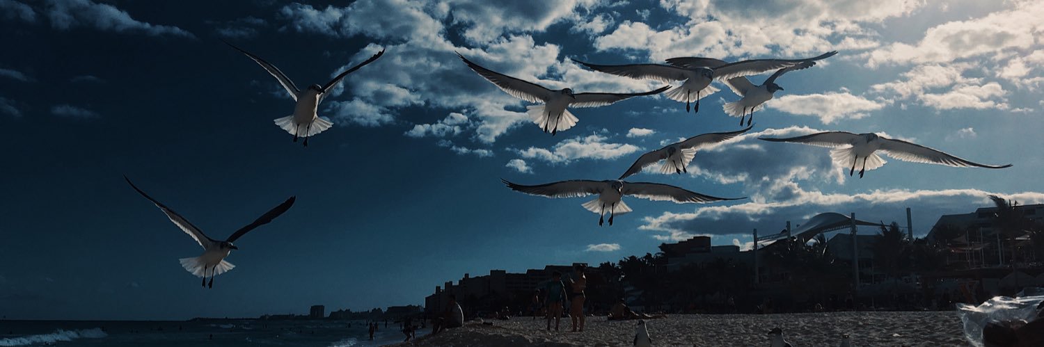 AgosMolina_'s profile banner image