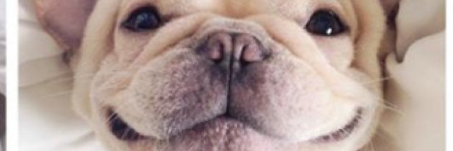 karapetricka's profile banner image