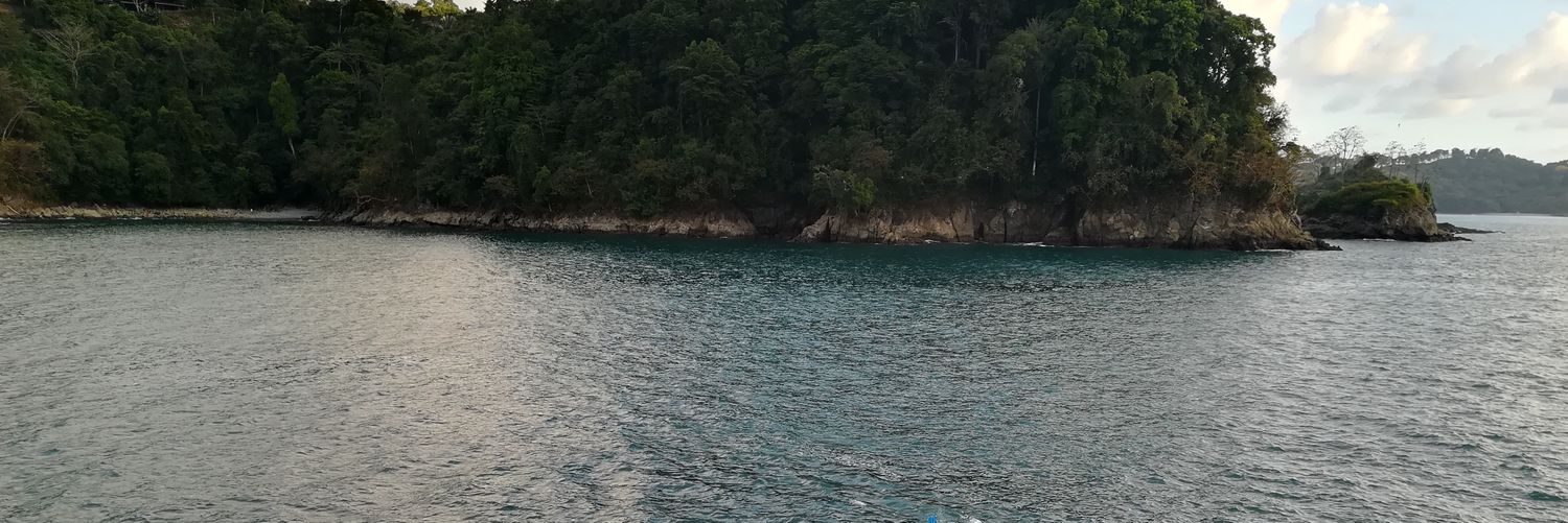 AmandaEstrada2's profile banner image