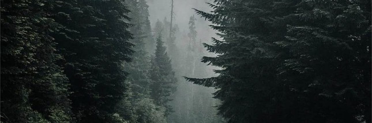 stefanirosee's profile banner image