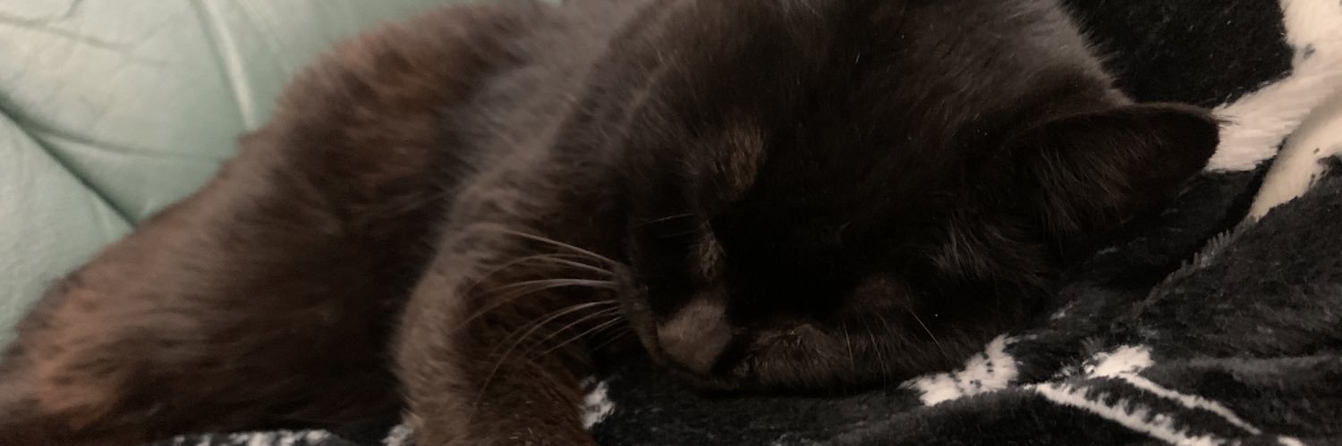 satitomo's profile banner image