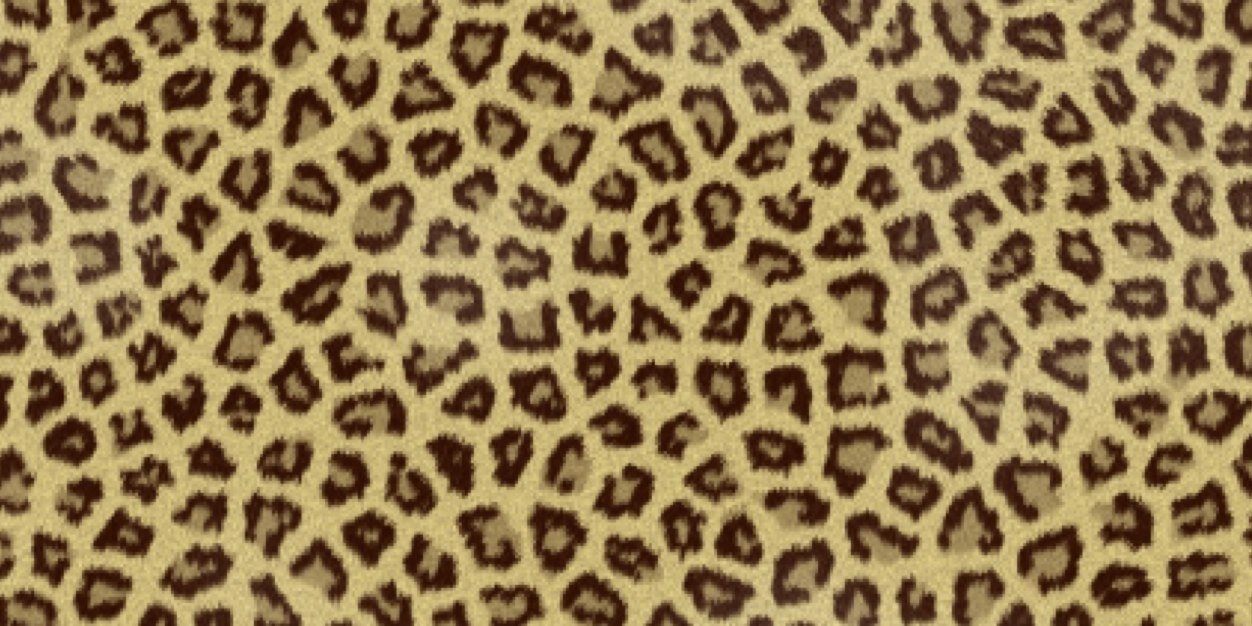 mollyab3's profile banner image