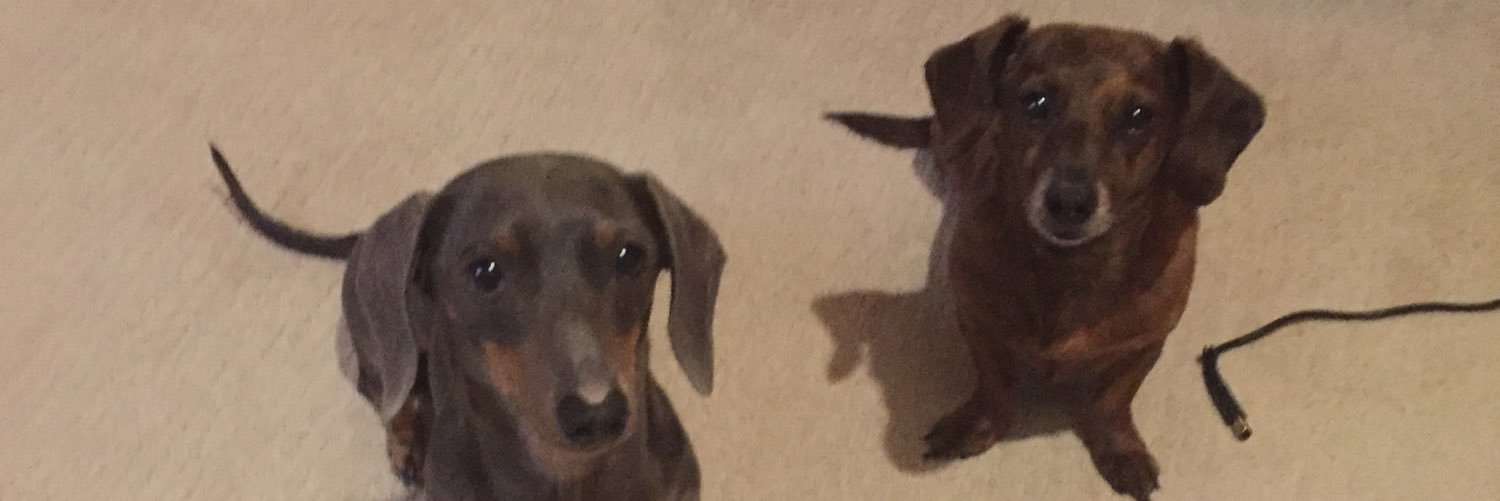 zoewdjohnson's profile banner image