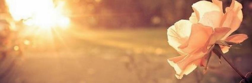 FTF_tweet's profile banner image
