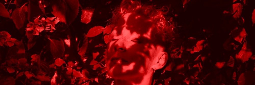 PerryWoodgate's profile banner image
