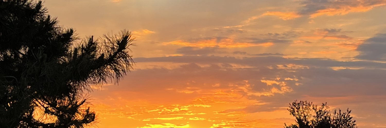ellatownsend24's profile banner image