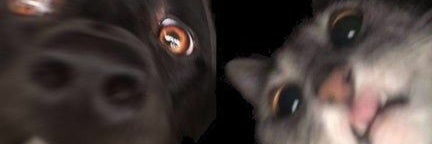 floresirenee's profile banner image