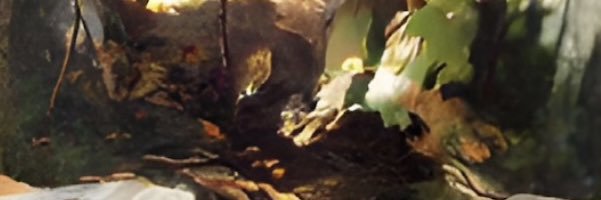 _Queznel's profile banner image