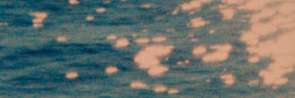 Arctic Monkeys Arg banner