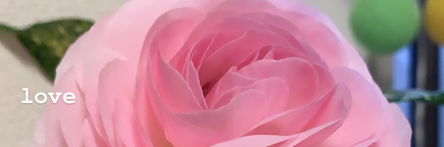 yucco_crazyface's profile banner image