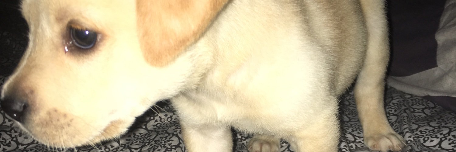 CrazyMcLopez's profile banner image