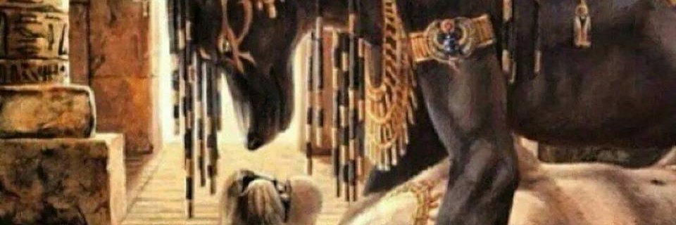 Mossberg4Prez's profile banner image