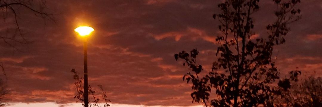 A Black Citizen banner