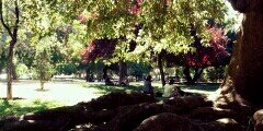 kmicov's profile banner image